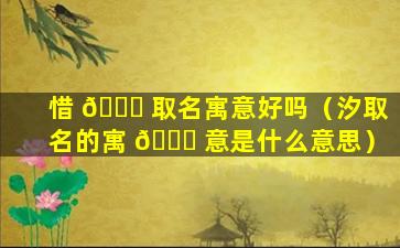 惜 🐞 取名寓意好吗（汐取名的寓 🐅 意是什么意思）